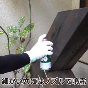 キクイムシ 駆除 エバーウッドP-400 42...の詳細画像3