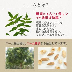 虫よけ 食品 天然防虫剤 プチッとニーム 3m...の詳細画像3