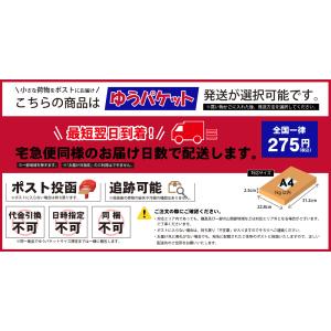 トコジラミ調査トラップ ベッドバグスライダー ...の詳細画像3