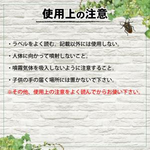 カメムシ 対策 カメムシロック 1L + 蓄圧...の詳細画像5