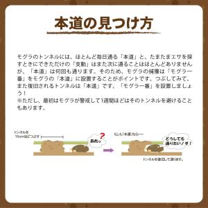 モグラ対策 モグラ一番 2セット入 両面扉式 ...の詳細画像3