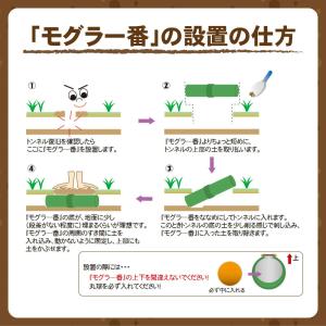 モグラ対策 モグラ一番 2セット入 両面扉式 ...の詳細画像4