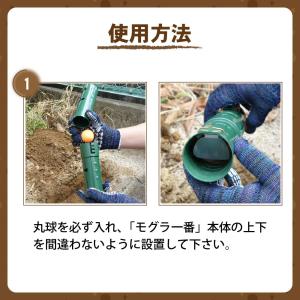 モグラ対策 モグラ一番 2セット入 両面扉式 ...の詳細画像5