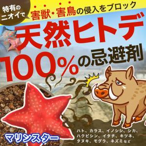 イノシシ シカ 対策 マリンスター 20L 1...の詳細画像1
