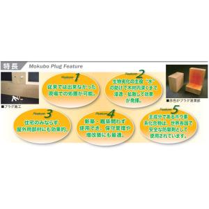 モクボープラグ 100本/箱 木部用 防腐 防...の詳細画像2