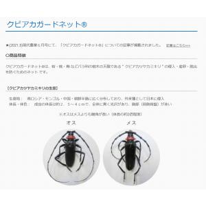 カミキリ虫 対策 防虫 クビアカガードネット ...の詳細画像3