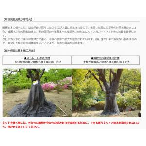 カミキリ虫 対策 防虫 クビアカガードネット ...の詳細画像5