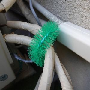 ネズミよけ 侵入防止用ブラシ 防鼠ブラシRR-...の詳細画像3