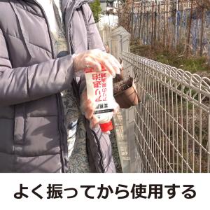 アース アリ 駆除アリの巣駆除 業務用 アリ退...の詳細画像1