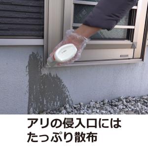 アース アリ 駆除アリの巣駆除 業務用 アリ退...の詳細画像5