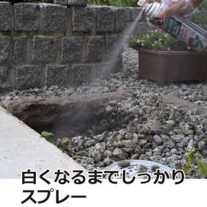 ムカデ 対策 退治 ムカデパウダージェット 4...の詳細画像3