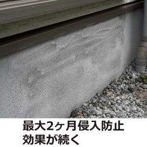 ムカデ 対策 退治 ムカデパウダージェット 4...の詳細画像5