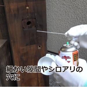 キクイムシ駆除 殺虫剤 キクイムシコロリ 30...の詳細画像3