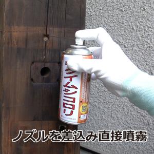 キクイムシ駆除 殺虫剤 キクイムシコロリ 30...の詳細画像4