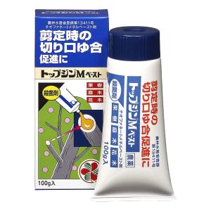 住友化学園芸 トップジンM ペースト 100g 農薬｜ka-dotcom