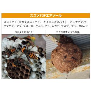 スズメバチ 駆除 スズメバチエアゾール 480...の詳細画像2