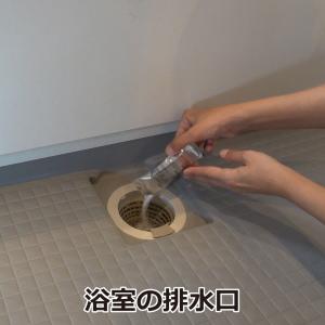 チョウバエ 退治 金鳥 業務用チョウバエバスタ...の詳細画像2
