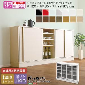 【引戸シリーズ】セミオーダーカウンター下収納ぴったりくん キャビネット(ポリカタイプ クリア) 幅120cm×奥行35cm｜ka-grande