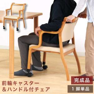 フランスベッド（FRANCEBED） リハテック 背楽チェア SEC-02 ダーク