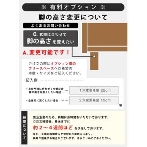 下駄箱 シューズボックス 幅120cm 国産 ...の詳細画像5