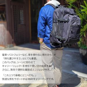 キャリーバッグ リュック キャリー mサイズ ...の詳細画像2