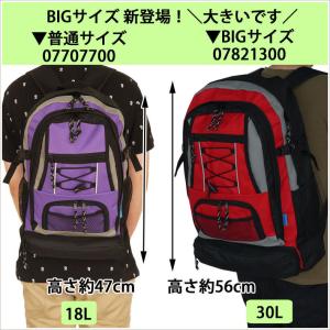 防災リュック 単品 30L リュック リュック...の詳細画像2