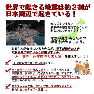 防災リュック 単品 30L リュック リュック...の詳細画像4