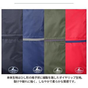 体操着袋 ナップサック 体操着入れ 小学校 男...の詳細画像4