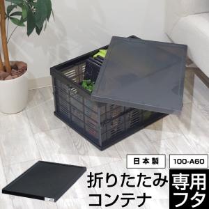JEJアステージ 折りたたみコンテナ A4収納サイズ 100-A59 コンテナ