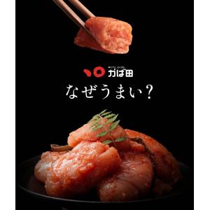かば田 かばた 明太子 めんたい 送料無料 ギ...の詳細画像1