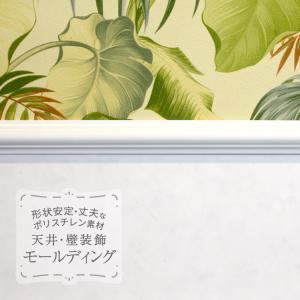 サンゲツ（SANGETSU） モールド 装飾用見切り材 ポリスチレン製 天井