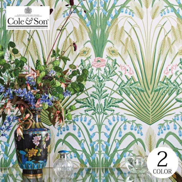 輸入壁紙 クロス テシード イギリス製 花柄 グリーン アールヌーボー ボタニカル Cole &amp; S...