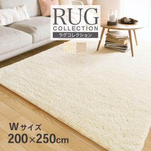 サンゲツ（SANGETSU） ラグ 200×250 防炎 抗菌 防ダニ ホット