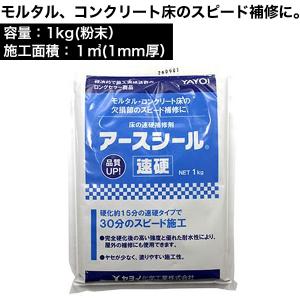 アースシール速硬 1kg　床用下地補修剤　モルタル、コンクリート床の補修に｜DIYリフォームのお店 かべがみ道場