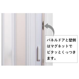 パネルドア シアーズ 全面採光タイプ 木目調 ...の詳細画像4