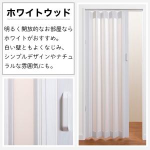 パネルドア シアーズ 全面採光タイプ 木目調 ...の詳細画像5