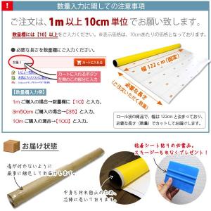 ダイノックシート 3M ダイノックフィルム カ...の詳細画像3