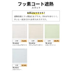 ブラインド 突っ張り フッ素コート オーダー ...の詳細画像5