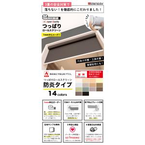 ロールスクリーン つっぱり 防炎 ロールカーテ...の詳細画像1