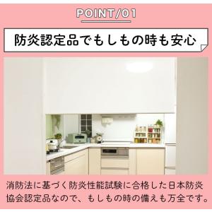 ロールスクリーン オーダー 防炎タイプ ロール...の詳細画像2