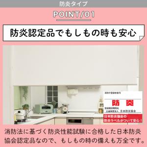 ロールスクリーン ロールカーテン オーダー 防...の詳細画像2
