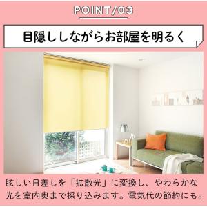 ロールスクリーン オーダー 防炎タイプ ロール...の詳細画像4