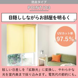 ロールスクリーン ロールカーテン オーダー 防...の詳細画像4