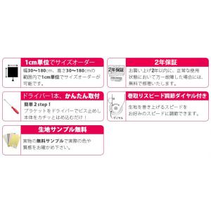 ダブルロールスクリーン 標準タイプ+レースタイ...の詳細画像2