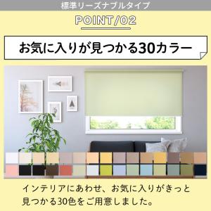 ロールスクリーン ロールカーテン オーダー 標...の詳細画像3