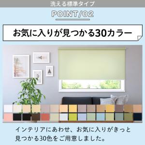 ロールスクリーン ロールカーテン オーダー 洗...の詳細画像3