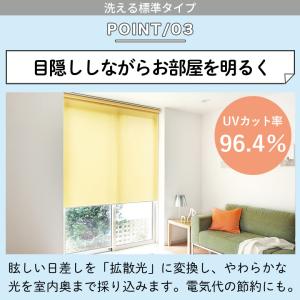 ロールスクリーン ロールカーテン オーダー 洗...の詳細画像4