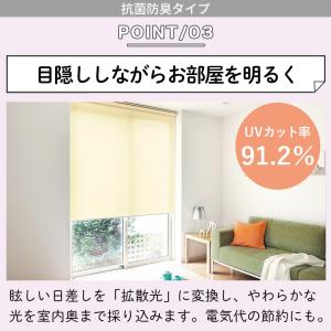 ロールスクリーン ロールカーテン オーダー 抗...の詳細画像4