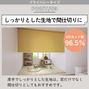 ロールスクリーン ロールカーテン オーダー 厚...の詳細画像4