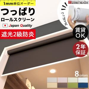 つっぱり ロールスクリーン オーダー 1mm単位...の商品画像